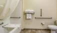 Cobblestone Inn & Suites - Altamont image 5